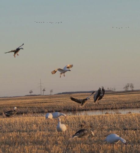 Photo post from northernskiesoutfitters.