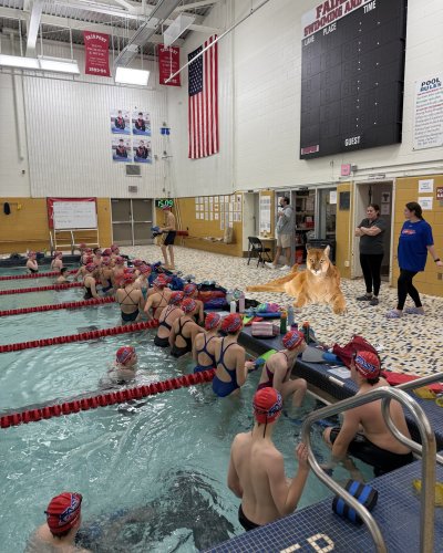 Photo post from fairportswimming.