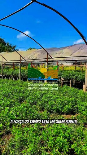 Video post from ananindeuapma.