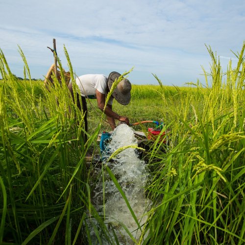 Photo post from unops_official.