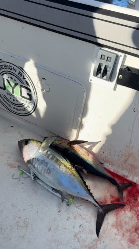 Video post from ejs_fishing_charters.