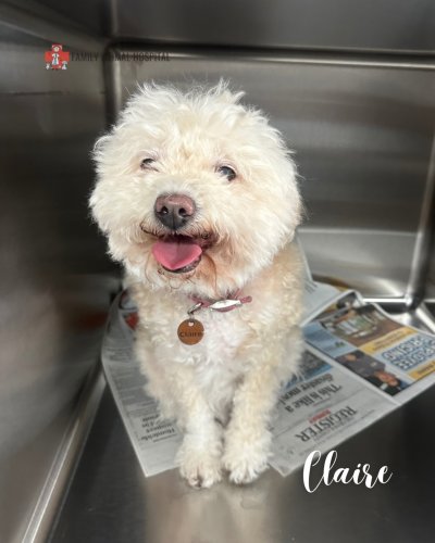 Photo post from familyanimalhospitalcm.