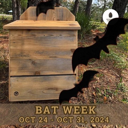 Video post from heartwood.preserve.