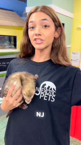 Video post from njexoticpets.