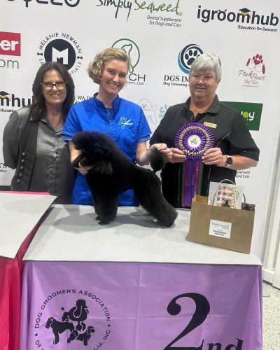 Carousel post from k9playtimedoggydaycare.