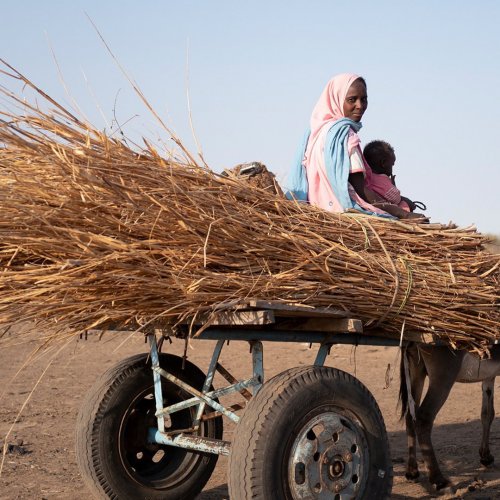 Carousel post from unops_official.