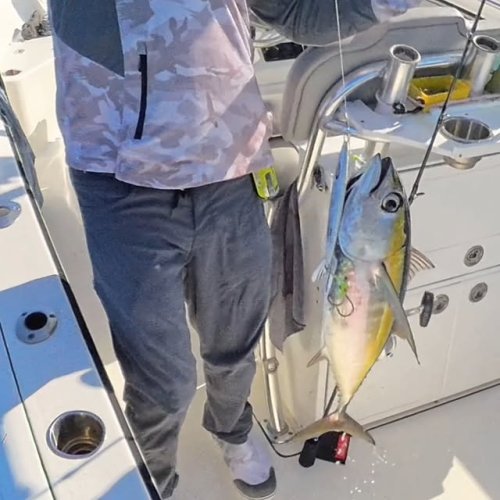 Video post from ejs_fishing_charters.