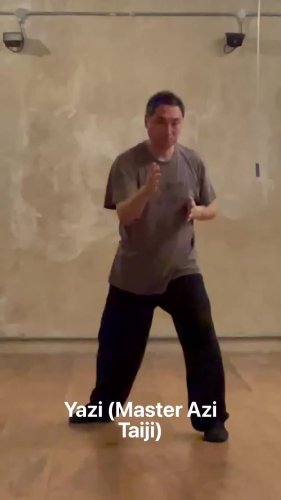 Video post from azischooloftaiji.