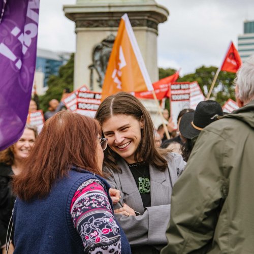 Carousel post from nzgreenparty.