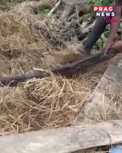 Video post from pragnewsofficial.