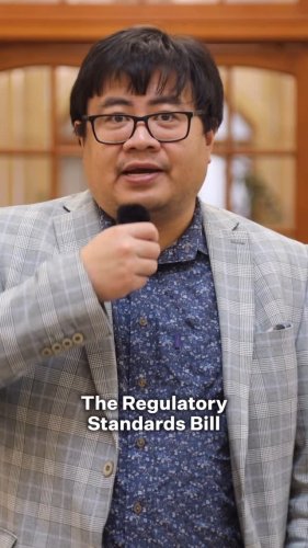 Video post from nzgreenparty.