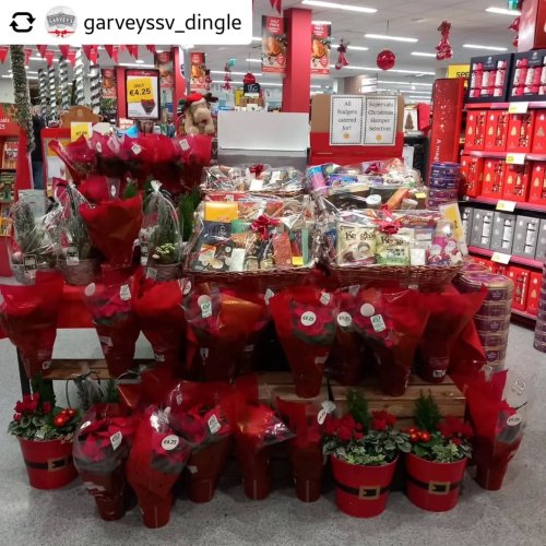 Photo post from dinglepeninsulatourism.