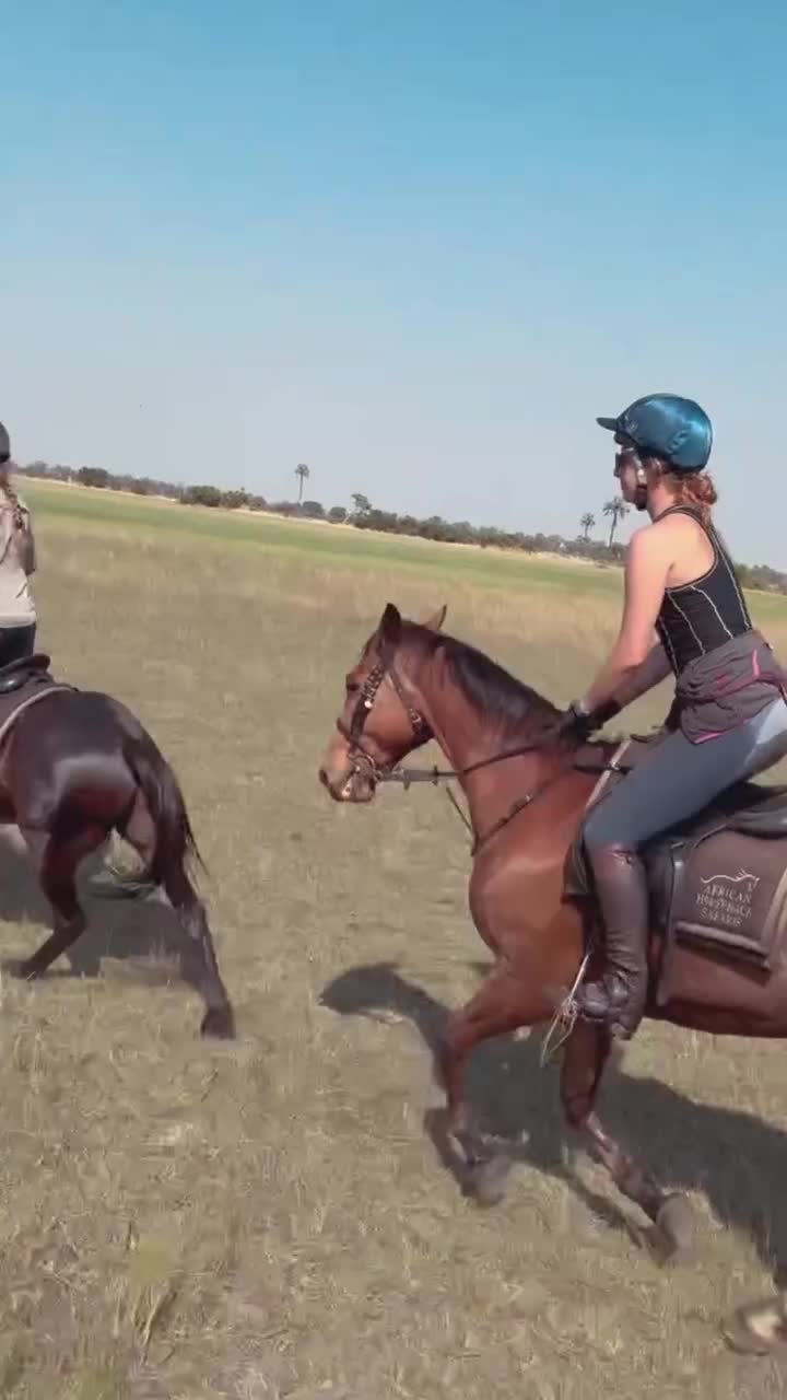 Video post from marina_tavs.