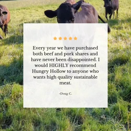 Video post from hungryhollowfarm.