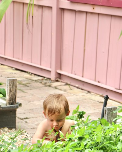 Carousel post from currumbinvalleyharvest.