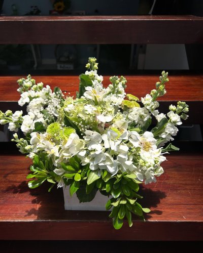 Photo post from la_gifteria.