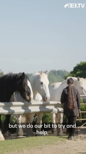 Video post from fei_global.