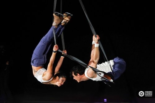 Carousel post from icetheatreofny.