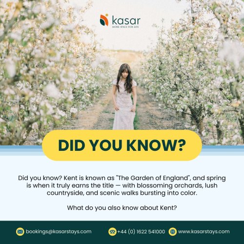 Photo post from kasarstays.