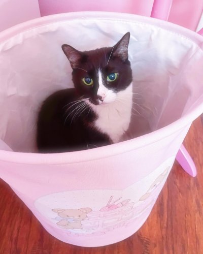 Carousel post from margaritabloom.