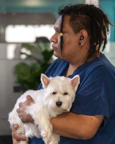 Photo post from medicalpettj.