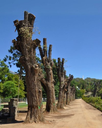 Photo post from alburycity.