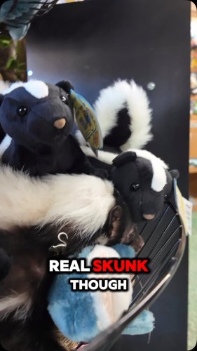 Video post from njexoticpets.