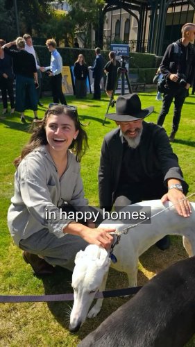 Video post from nzgreenparty.