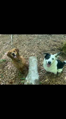 Video post from pipsadventurewalks.
