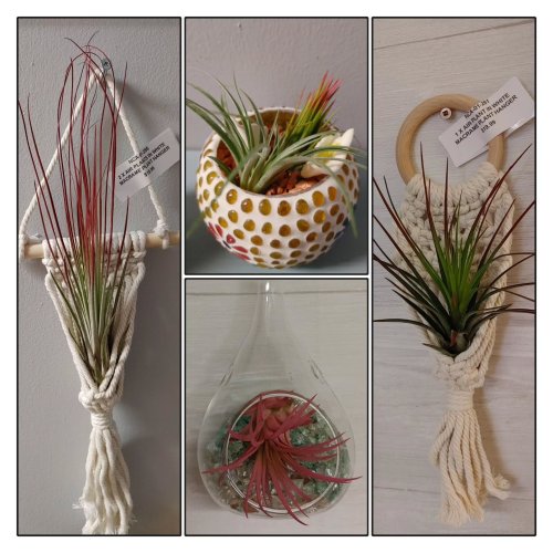 Photo post from niftygiftynorfolk.