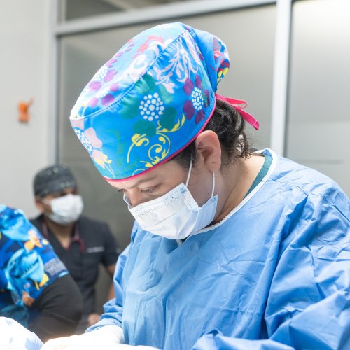 Carousel post from medicalpettj.