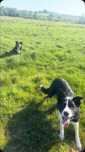 Video post from pipsadventurewalks.
