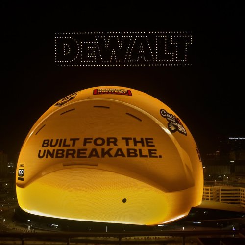 Photo post from dewalttough.