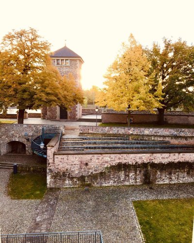 Photo post from visit.magdeburg.