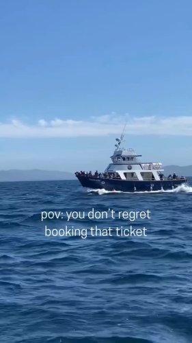 Video post from dinglepeninsulatourism.