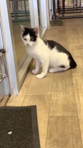 Video post from medicalpettj.