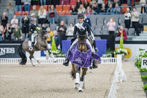 Photo post from fei_global.