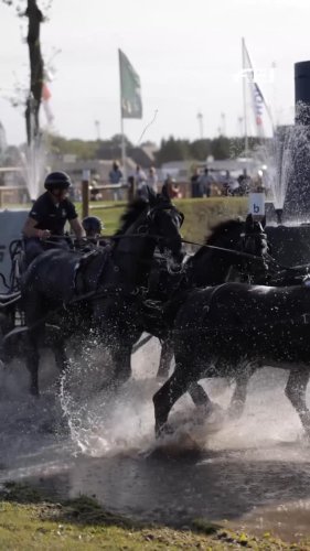 Video post from fei_global.