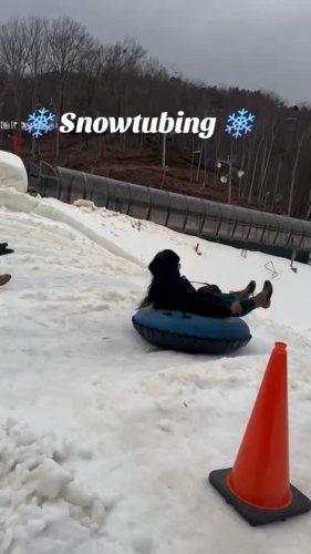 Video post from thebrendamarie.