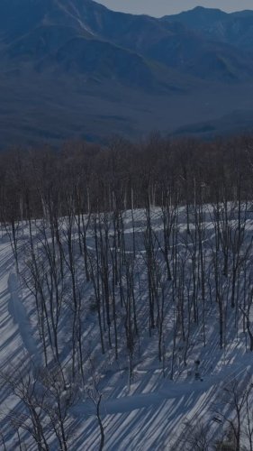 Video post from obermountain.