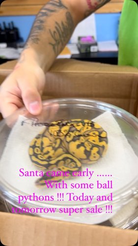 Video post from njexoticpets.