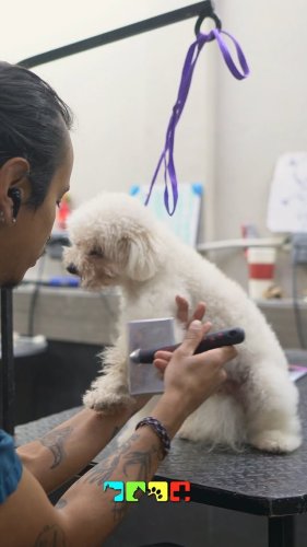 Video post from medicalpettj.