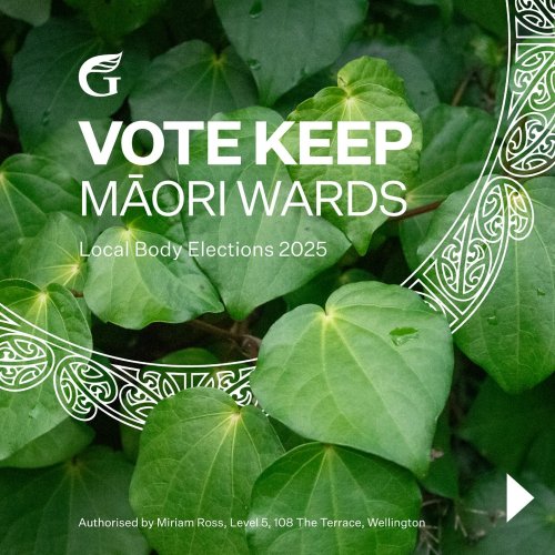 Carousel post from nzgreenparty.