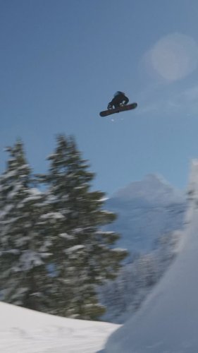 Video post from libtechnologies.