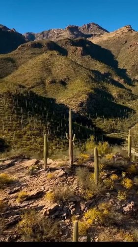 Video post from visittucson.