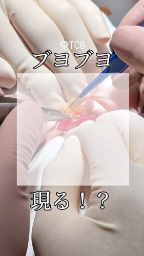 Video post from tcb_yukihiko.
