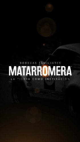 Video post from rallyhechoenmexico.
