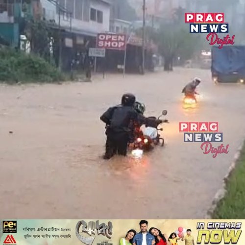 Video post from pragnewsofficial.