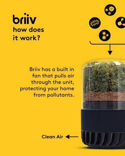 Photo post from briiv.natural.