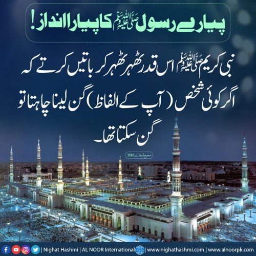 Photo post from nighathashmi.